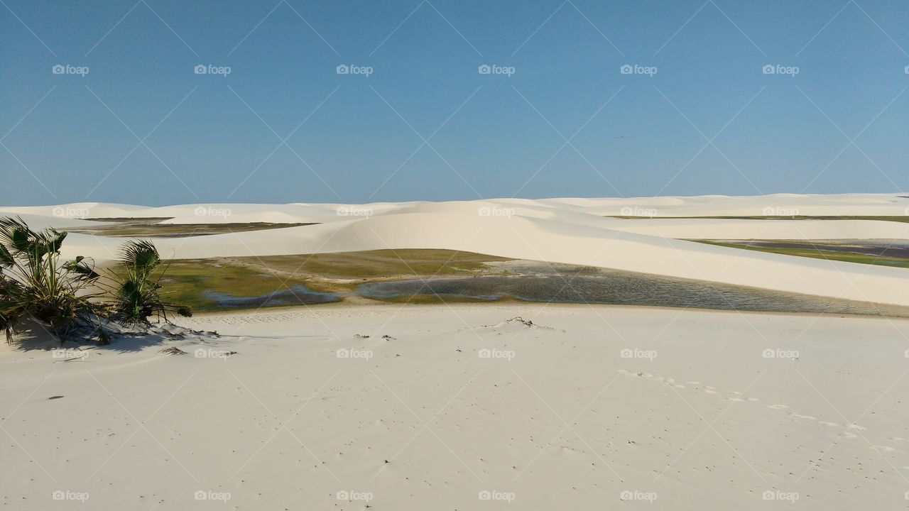 Santo Amaro do Maranhão Maranhão fonte: images01.foap.com